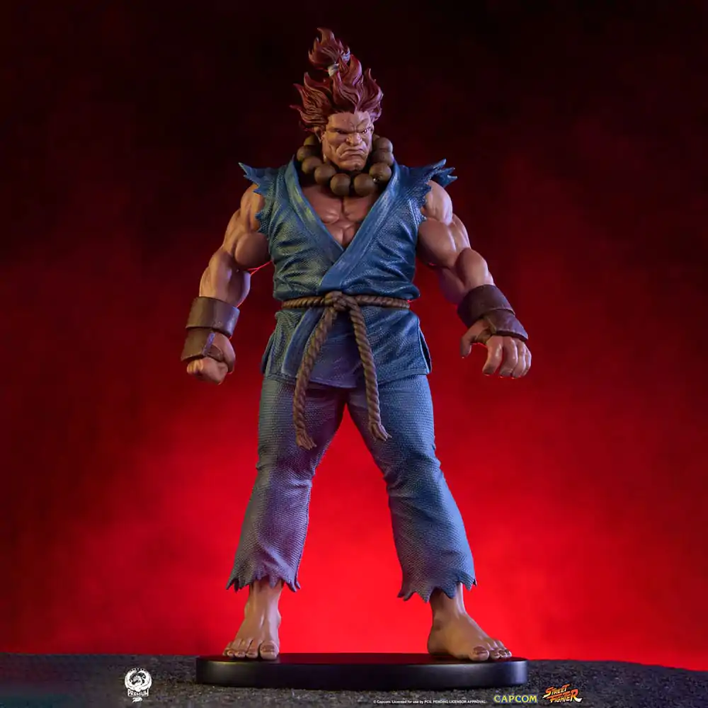 Street Fighter PVC Statuen 1/10 Akuma & Dhalsim 21 cm termékfotó