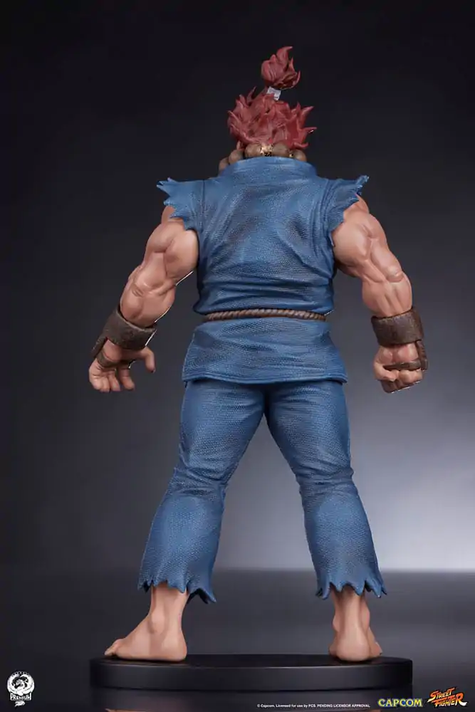 Street Fighter PVC Statuen 1/10 Akuma & Dhalsim 21 cm termékfotó