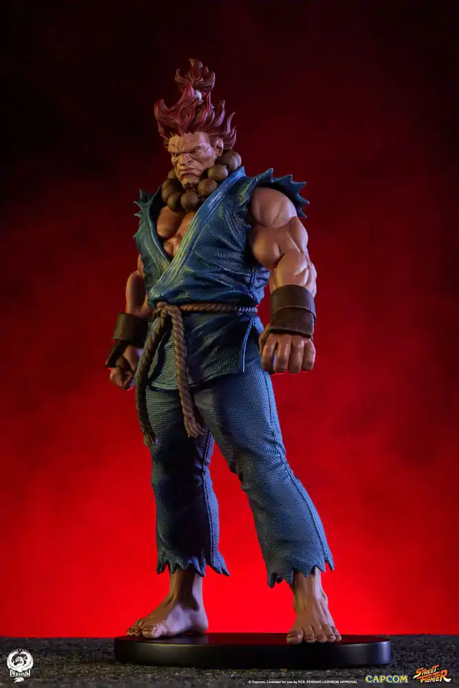 Street Fighter PVC Statuen 1/10 Akuma & Dhalsim 21 cm termékfotó