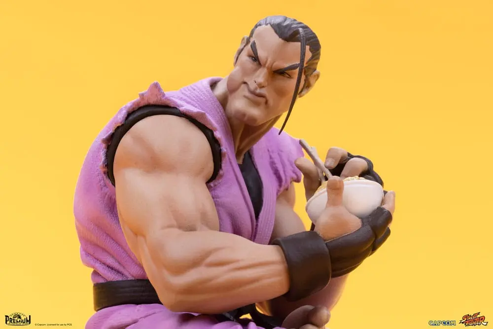 Street Fighter PVC Statuen 1/10 Ryu & Dan 18 cm Produktfoto