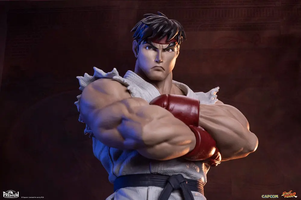 Street Fighter PVC Statuen 1/10 Ryu & Dan 18 cm Produktfoto