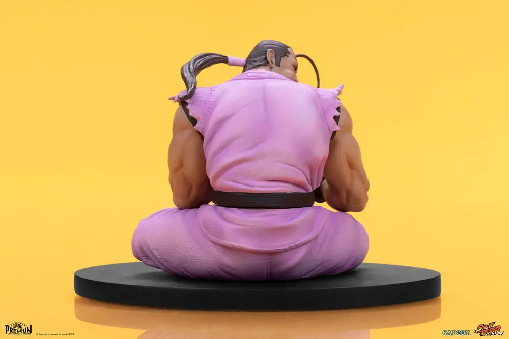 Street Fighter PVC Statuen 1/10 Ryu & Dan 18 cm Produktfoto