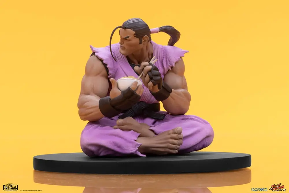 Street Fighter PVC Statuen 1/10 Ryu & Dan 18 cm Produktfoto