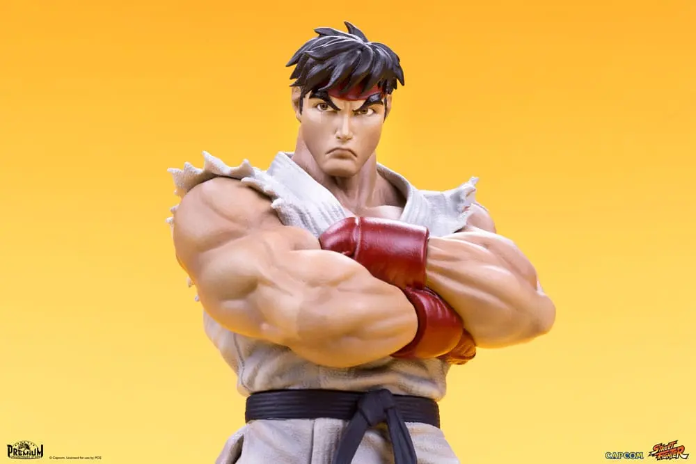 Street Fighter PVC Statuen 1/10 Ryu & Dan 18 cm Produktfoto