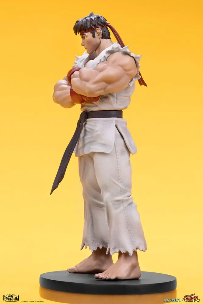 Street Fighter PVC Statuen 1/10 Ryu & Dan 18 cm Produktfoto