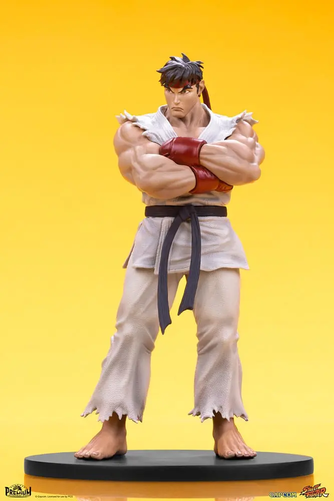 Street Fighter PVC Statuen 1/10 Ryu & Dan 18 cm Produktfoto
