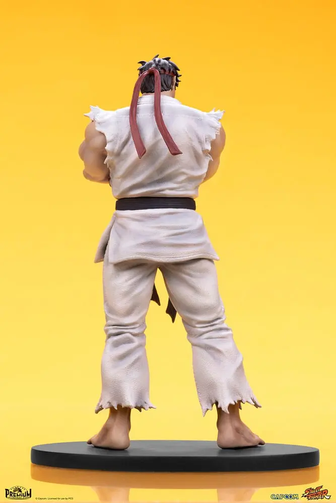 Street Fighter PVC Statuen 1/10 Ryu & Dan 18 cm Produktfoto