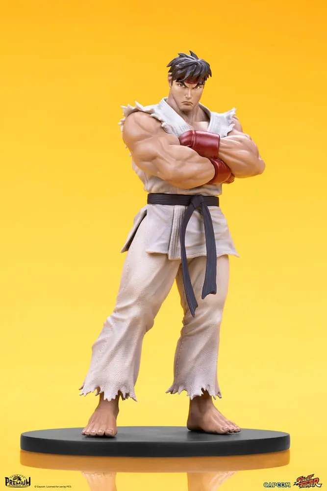 Street Fighter PVC Statuen 1/10 Ryu & Dan 18 cm Produktfoto