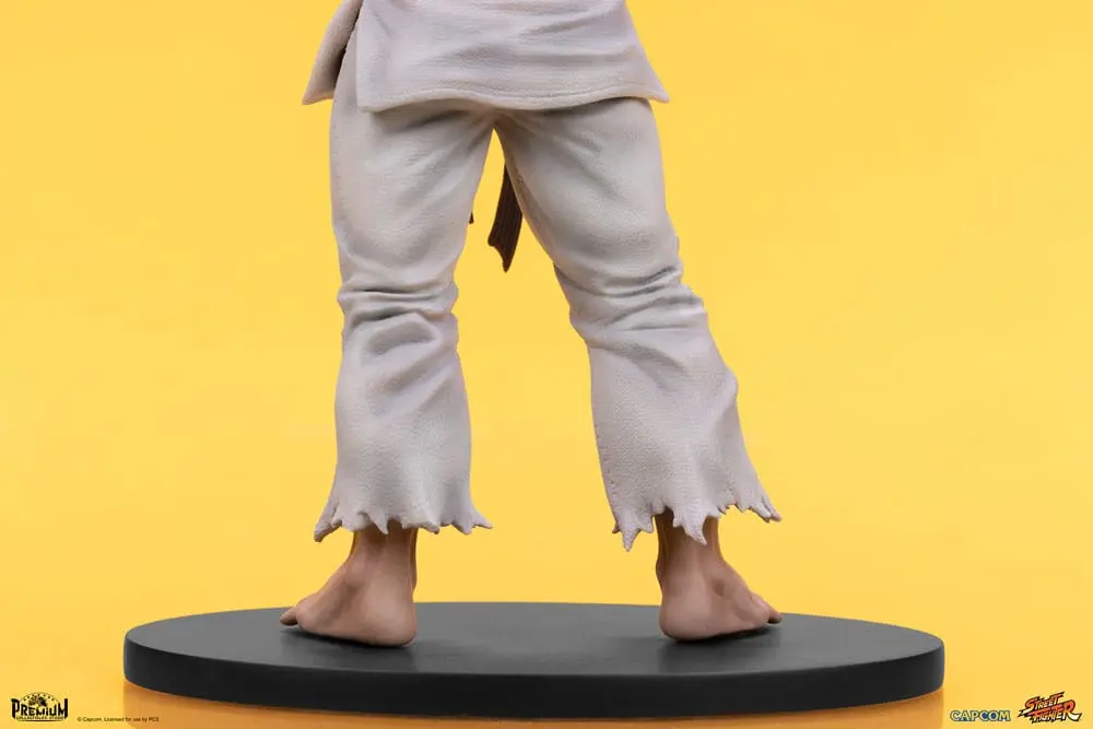 Street Fighter PVC Statuen 1/10 Ryu & Dan 18 cm Produktfoto