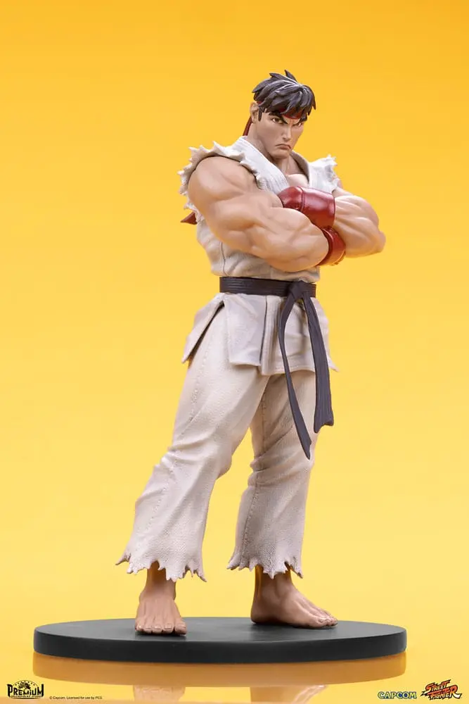 Street Fighter PVC Statuen 1/10 Ryu & Dan 18 cm Produktfoto