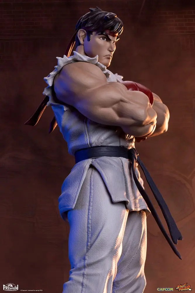 Street Fighter PVC Statuen 1/10 Ryu & Dan 18 cm Produktfoto