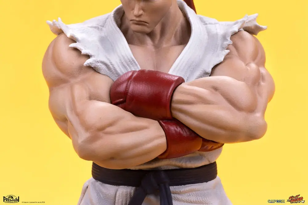 Street Fighter PVC Statuen 1/10 Ryu & Dan 18 cm Produktfoto