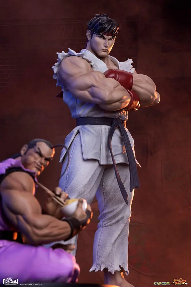Street Fighter PVC Statuen 1/10 Ryu & Dan 18 cm Produktfoto