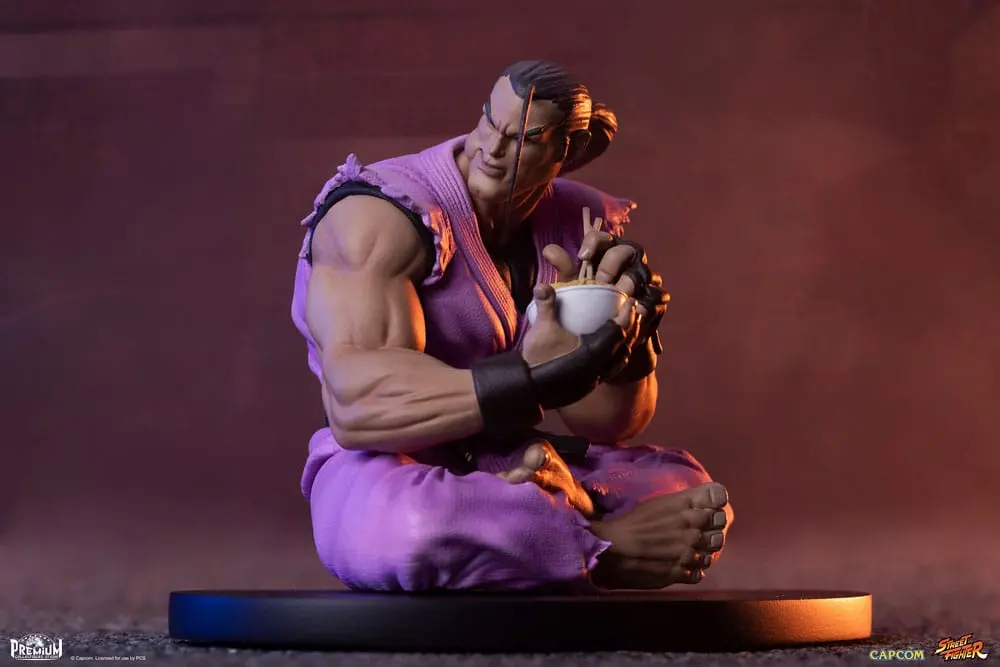 Street Fighter PVC Statuen 1/10 Ryu & Dan 18 cm Produktfoto