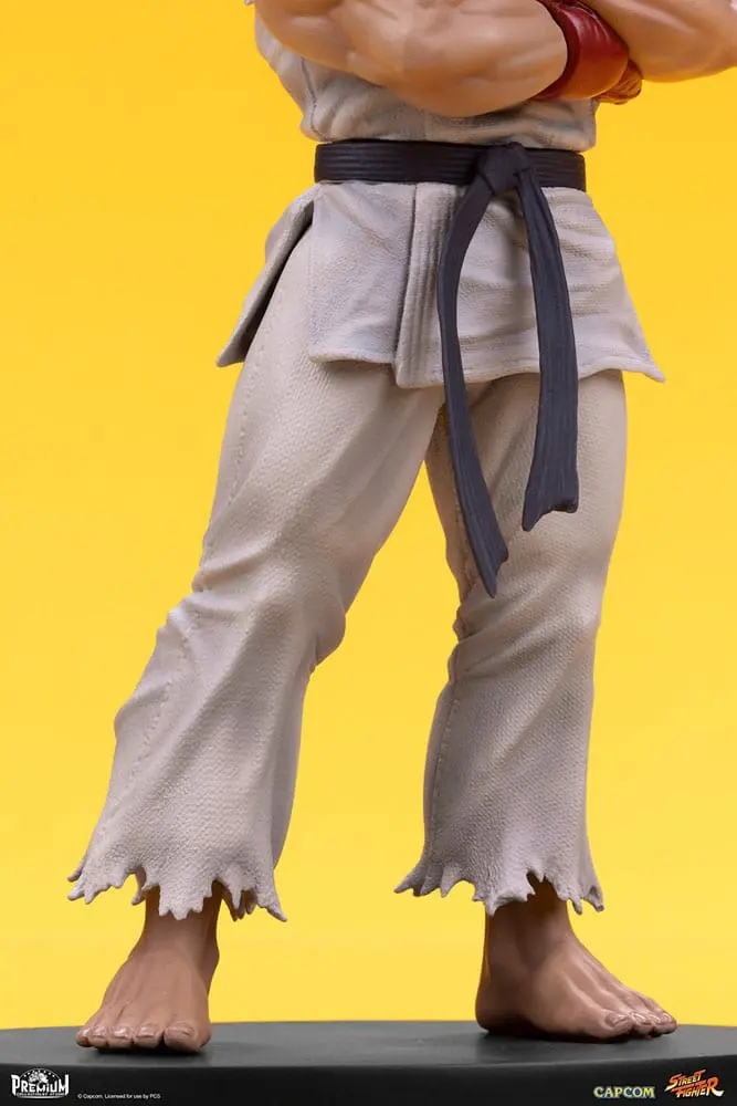 Street Fighter PVC Statuen 1/10 Ryu & Dan 18 cm Produktfoto