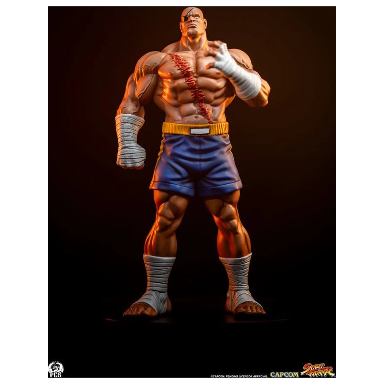 Street Fighter Street Jam Statuen 1/10 Sagat & Juli 24 cm Produktfoto