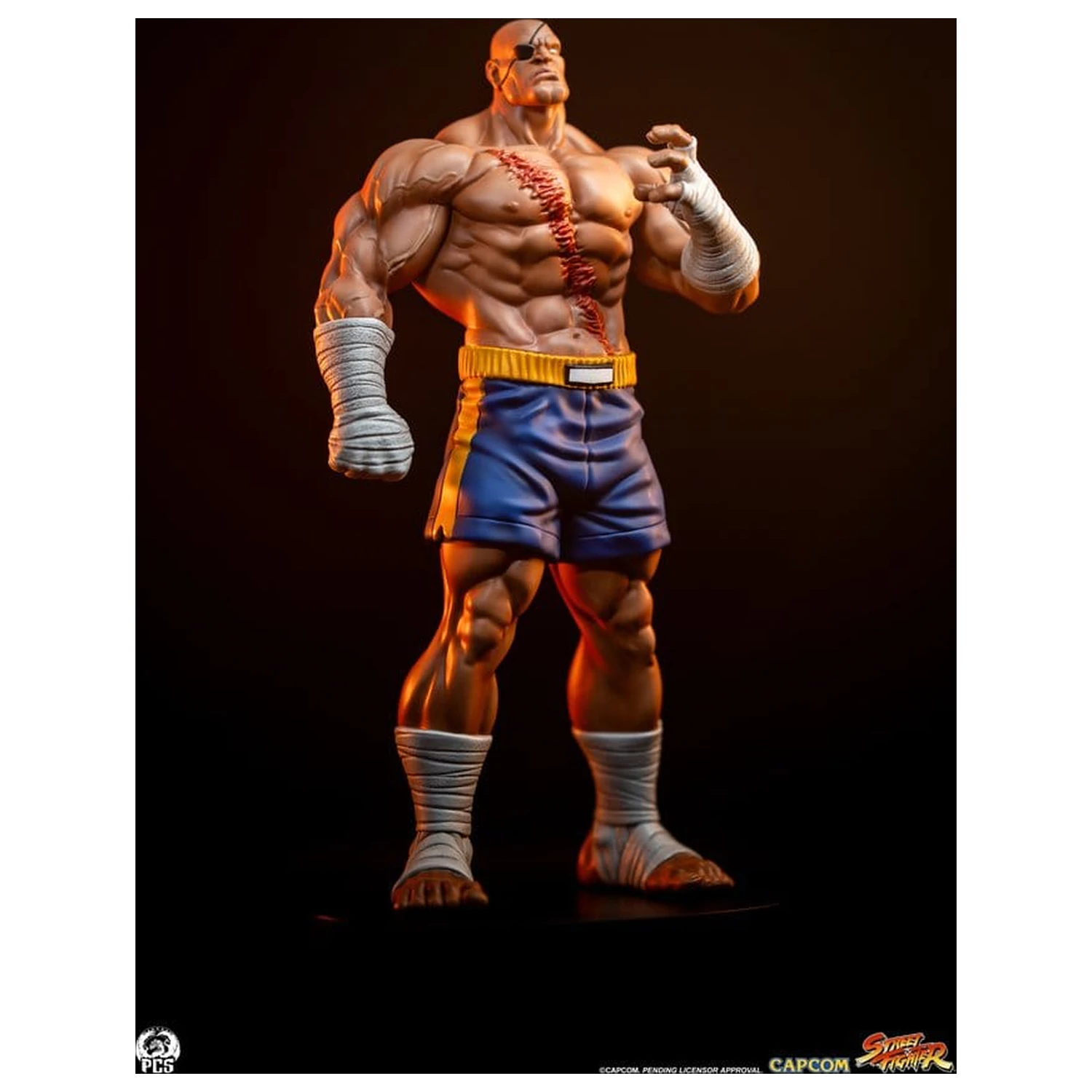 Street Fighter Street Jam Statuen 1/10 Sagat & Juli 24 cm Produktfoto