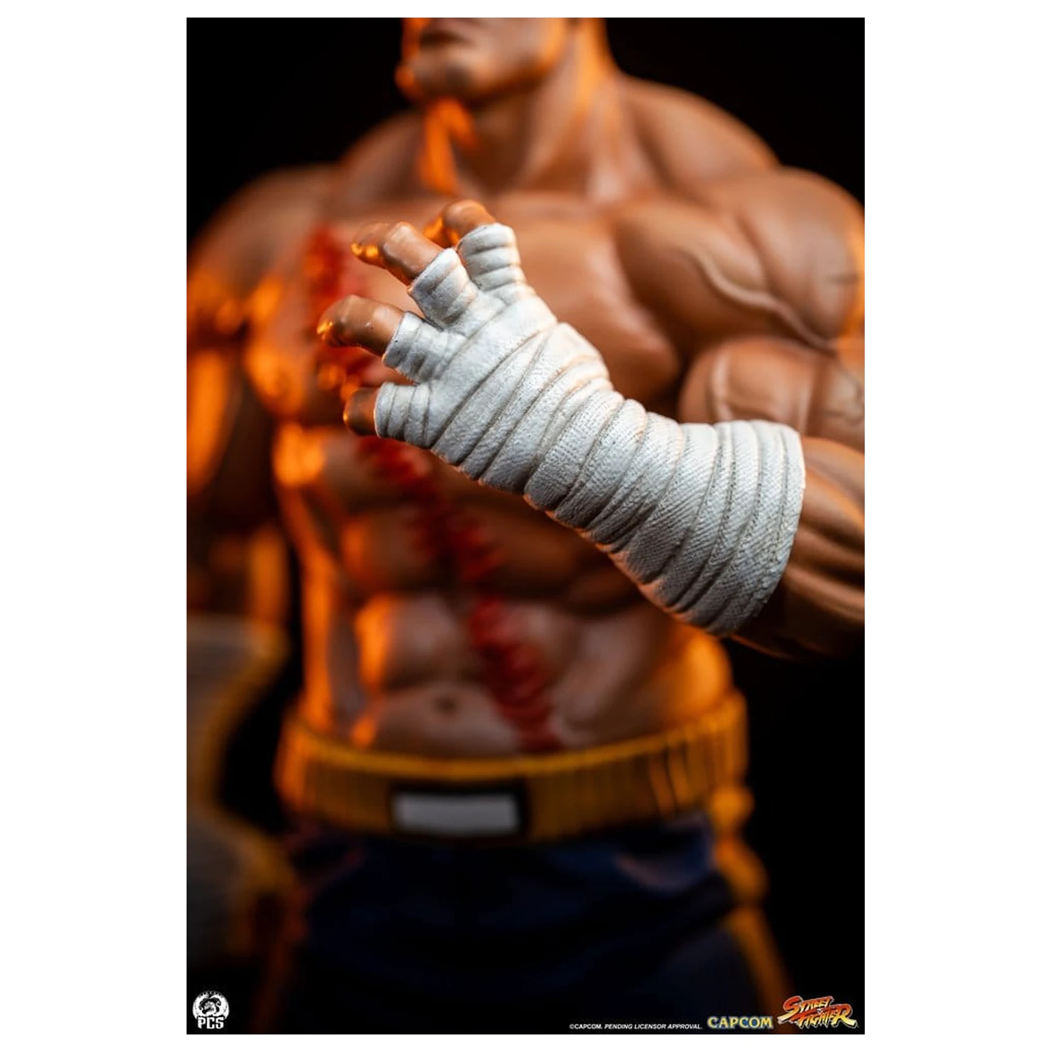 Street Fighter Street Jam Statuen 1/10 Sagat & Juli 24 cm Produktfoto