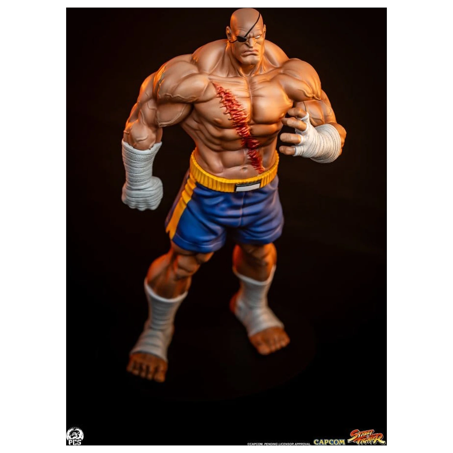 Street Fighter Street Jam Statuen 1/10 Sagat & Juli 24 cm Produktfoto