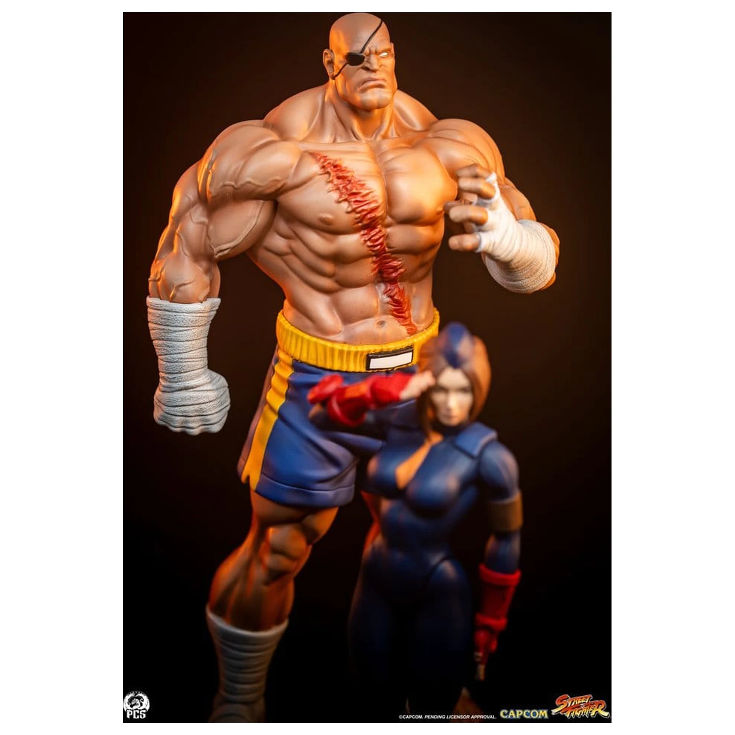 Street Fighter Street Jam Statuen 1/10 Sagat & Juli 24 cm Produktfoto