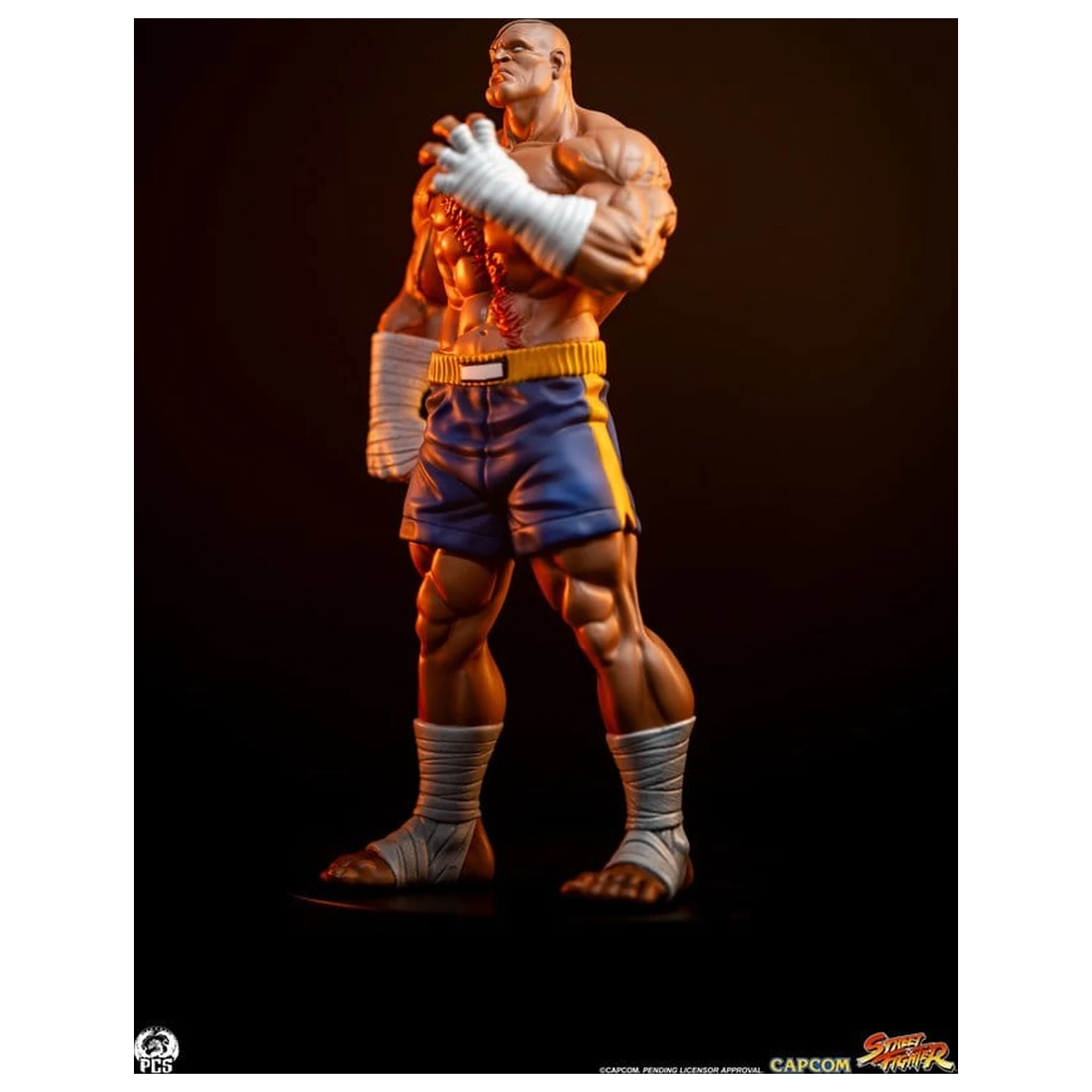 Street Fighter Street Jam Statuen 1/10 Sagat & Juli 24 cm Produktfoto