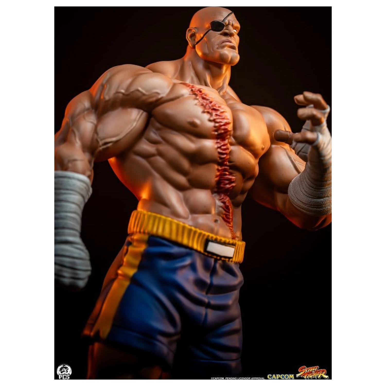 Street Fighter Street Jam Statuen 1/10 Sagat & Juli 24 cm Produktfoto
