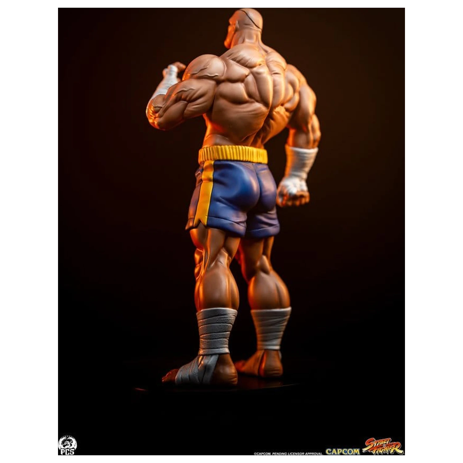 Street Fighter Street Jam Statuen 1/10 Sagat & Juli 24 cm Produktfoto