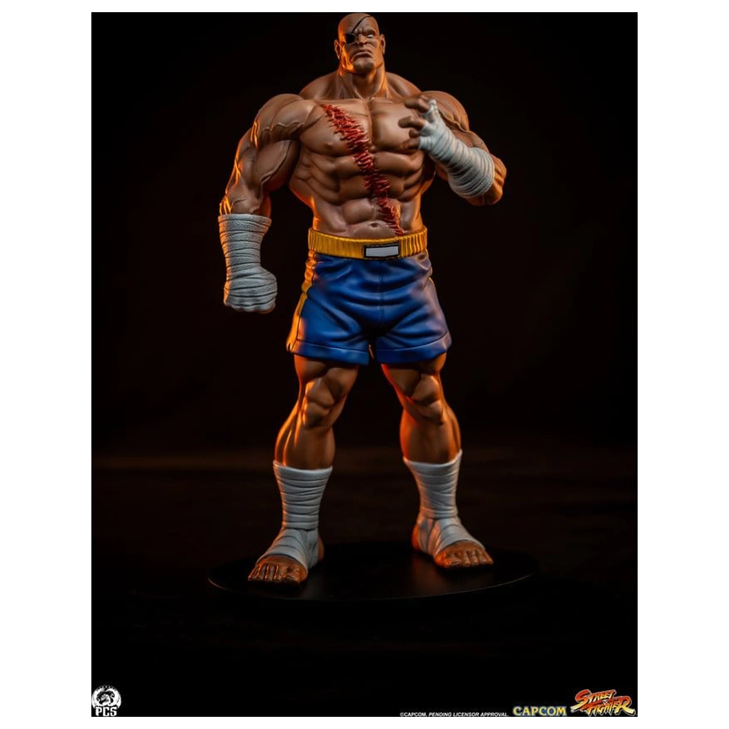 Street Fighter Street Jam Statuen 1/10 Sagat & Juli 24 cm Produktfoto