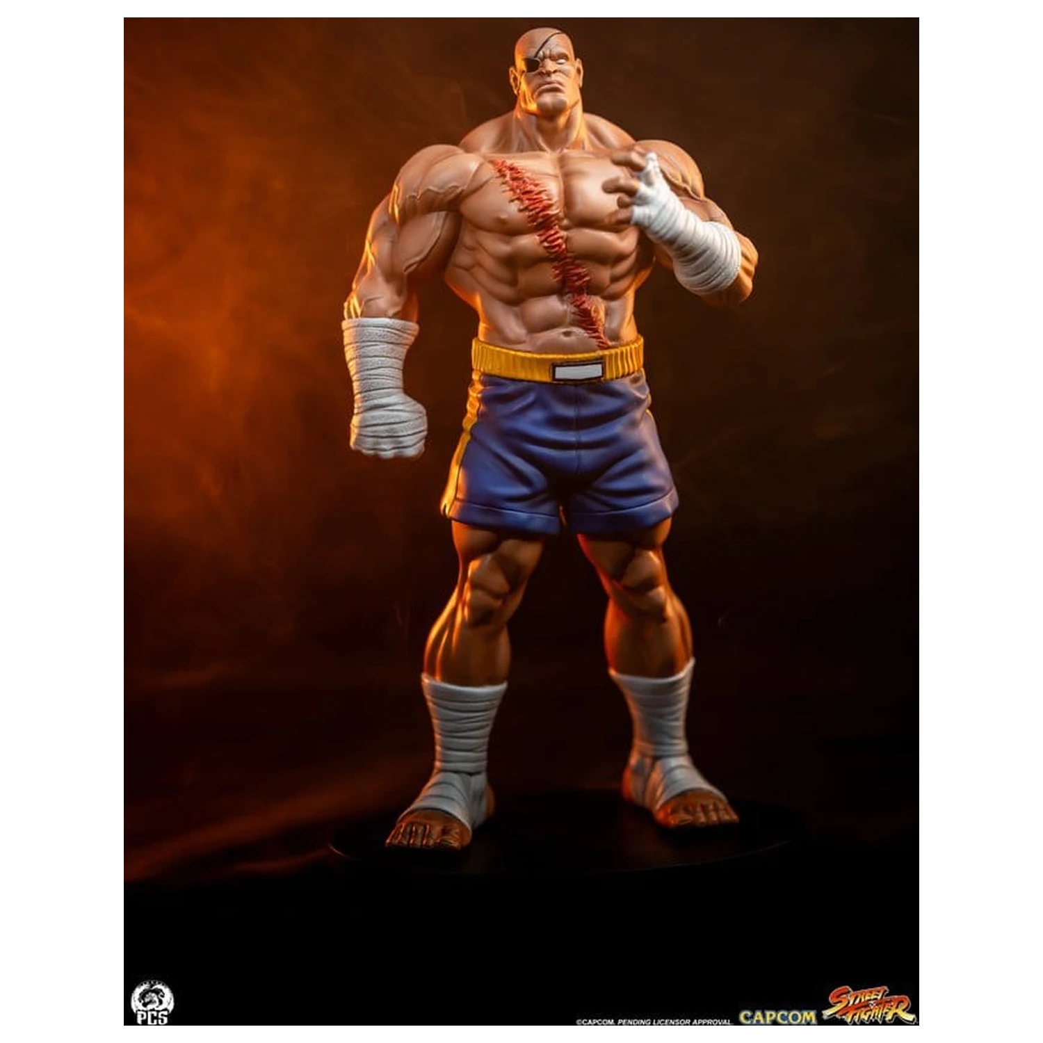 Street Fighter Street Jam Statuen 1/10 Sagat & Juli 24 cm Produktfoto