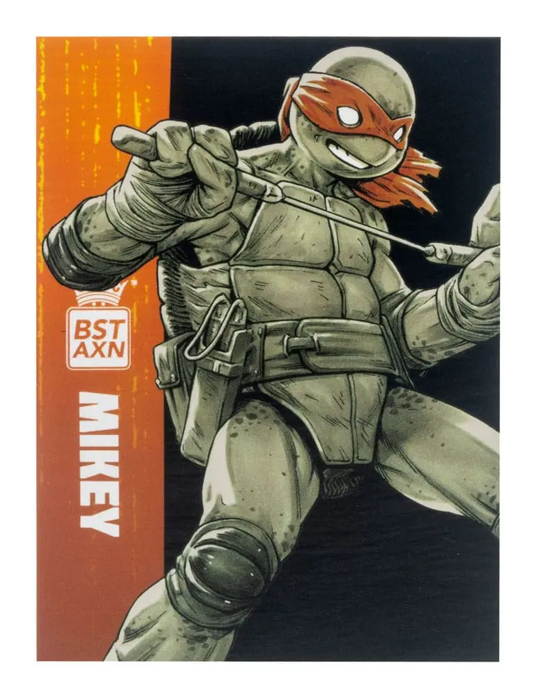 Teenage Mutant Ninja Turtles BST AXN Actionfiguren 4er-Pack Black&White (IDW Comics) 13 cm termékfotó