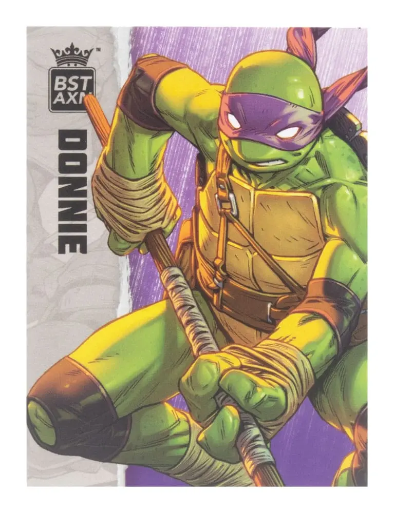 Teenage Mutant Ninja Turtles BST AXN Actionfigur Donatello (IDW Comics) 13 cm Produktfoto