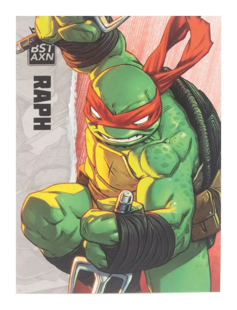 Teenage Mutant Ninja Turtles BST AXN Actionfigur Raphael (IDW Comics) 13 cm Produktfoto