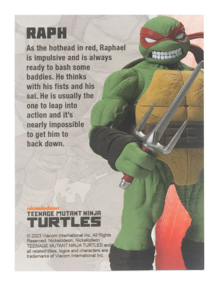 Teenage Mutant Ninja Turtles BST AXN Actionfigur Raphael (IDW Comics) 13 cm Produktfoto