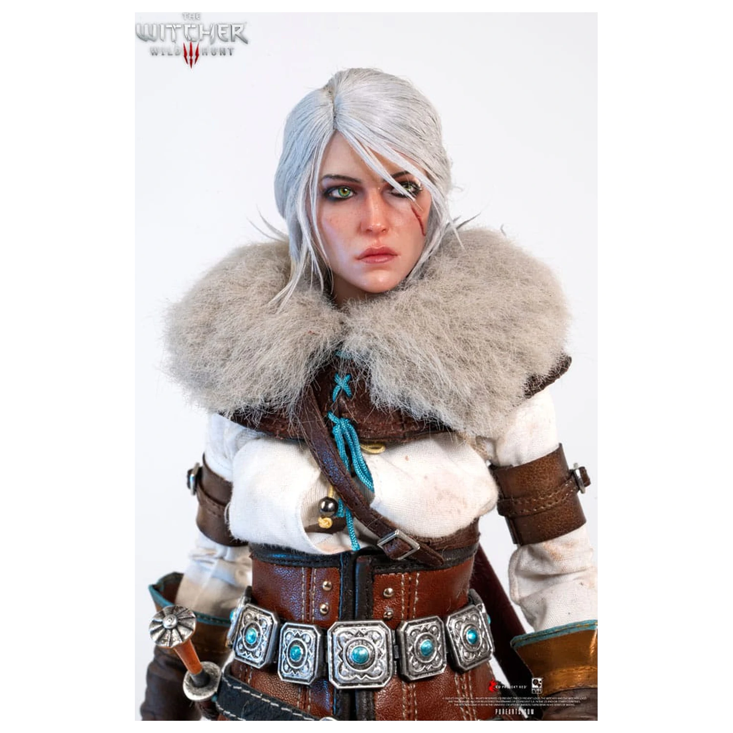 The Witcher 3: Wild Hunt Action-Figur 1/6 Ciri of Cintra 30 cm Produktfoto