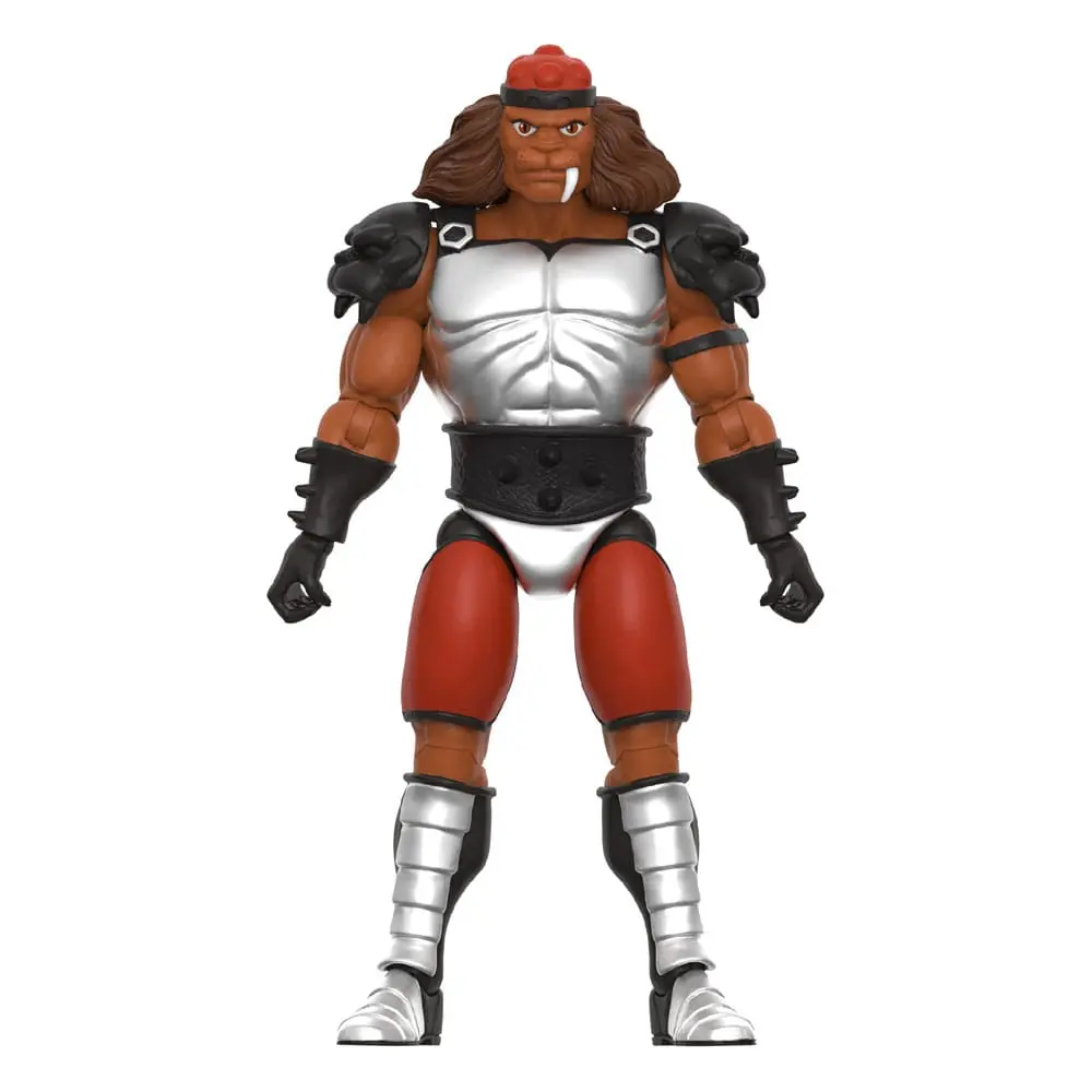 Thundercats Ultimates Actionfigur Wave 9 Grune The Destroyer (Toy Recolor) 20 cm termékfotó