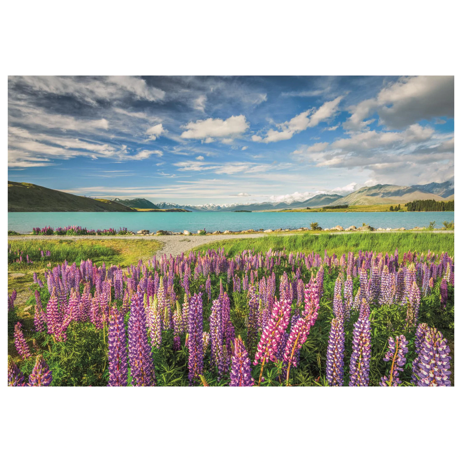 New Zealand Lake Tekapo 1500 Teile Puzzle Produktfoto