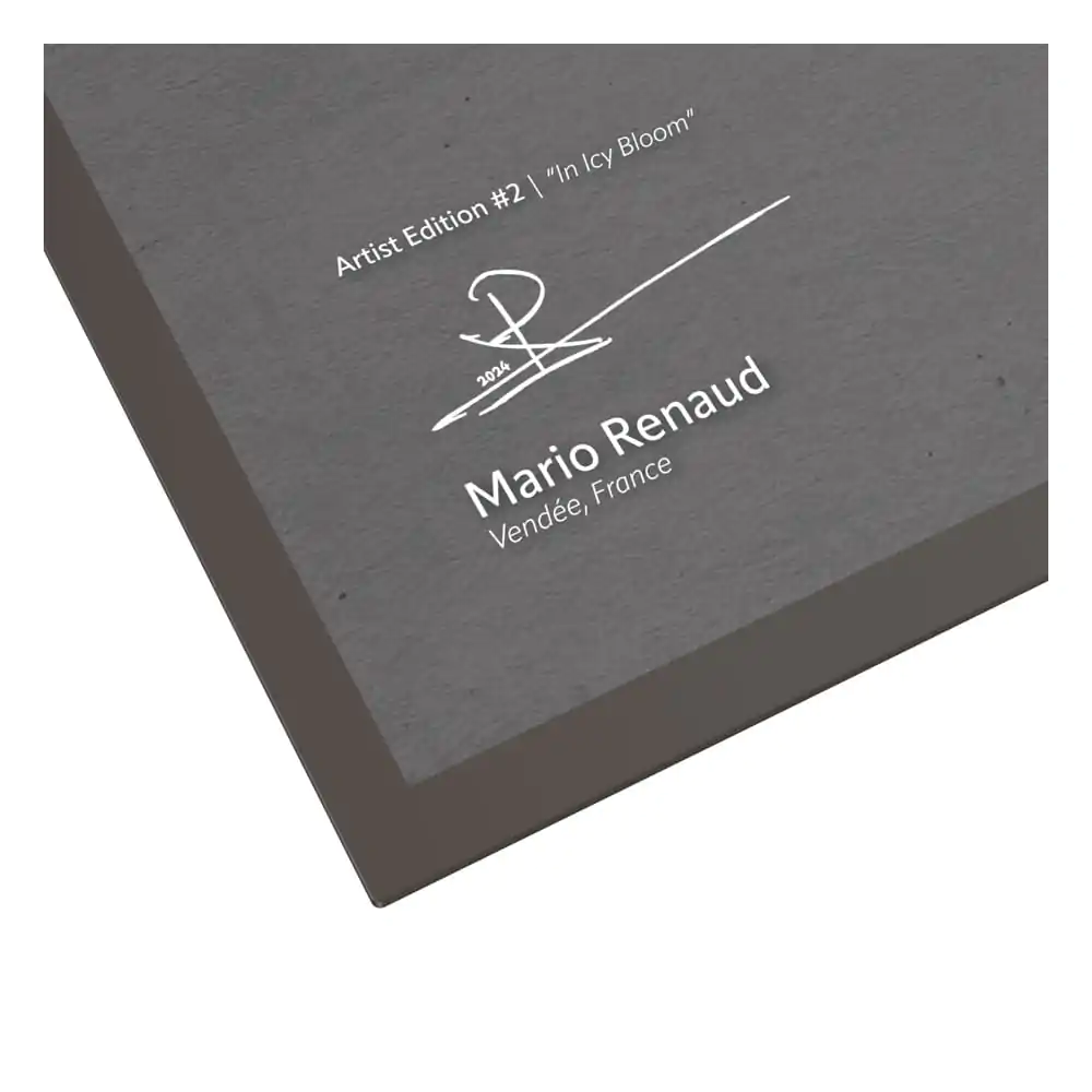 Ultimate Guard Collector's Album'n'Case Artist Edition #2 Mario Renaud: In Icy Bloom Produktfoto