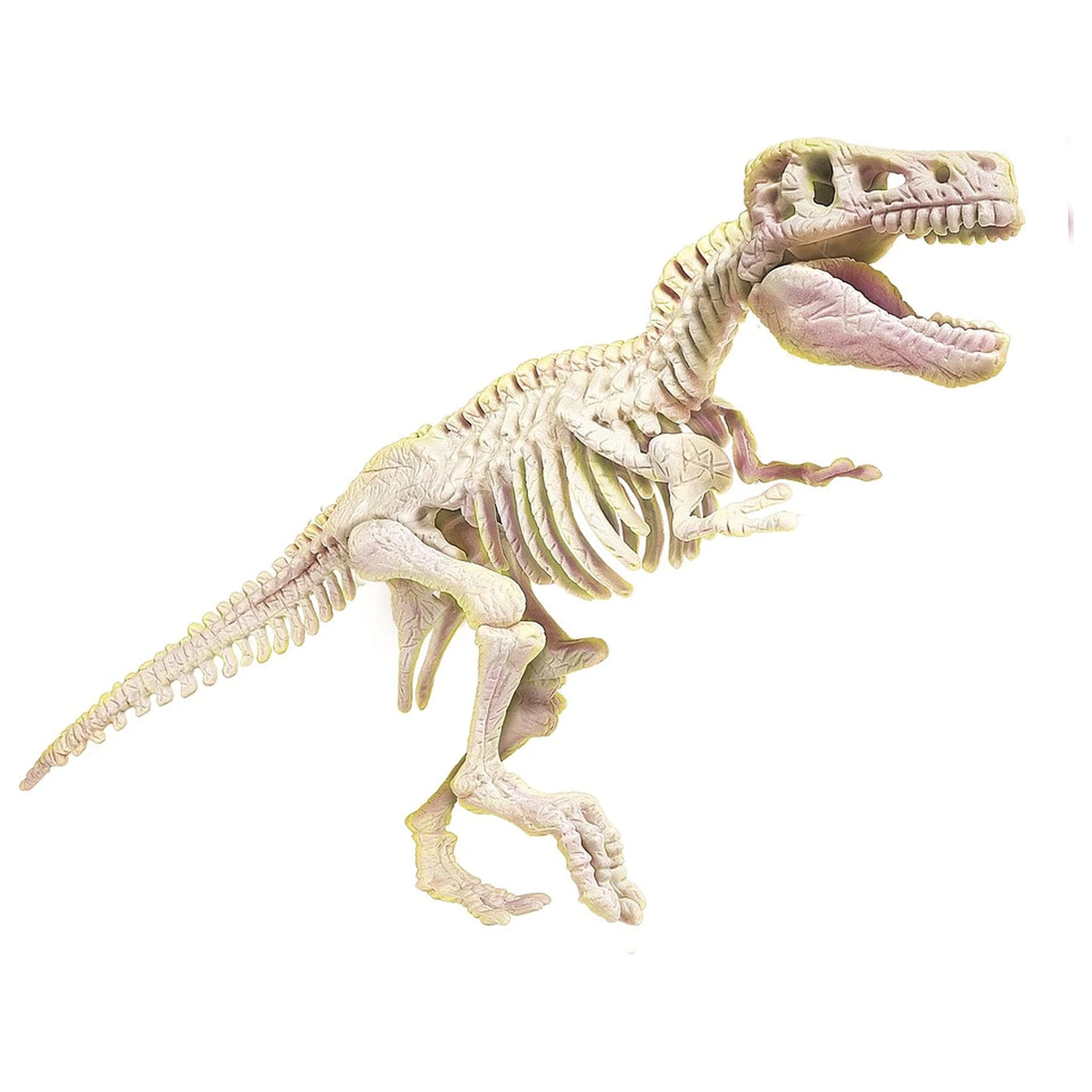 Beleuchtetes Dinosaurier Archeo Fun T-Rex Archäologie Set Produktfoto
