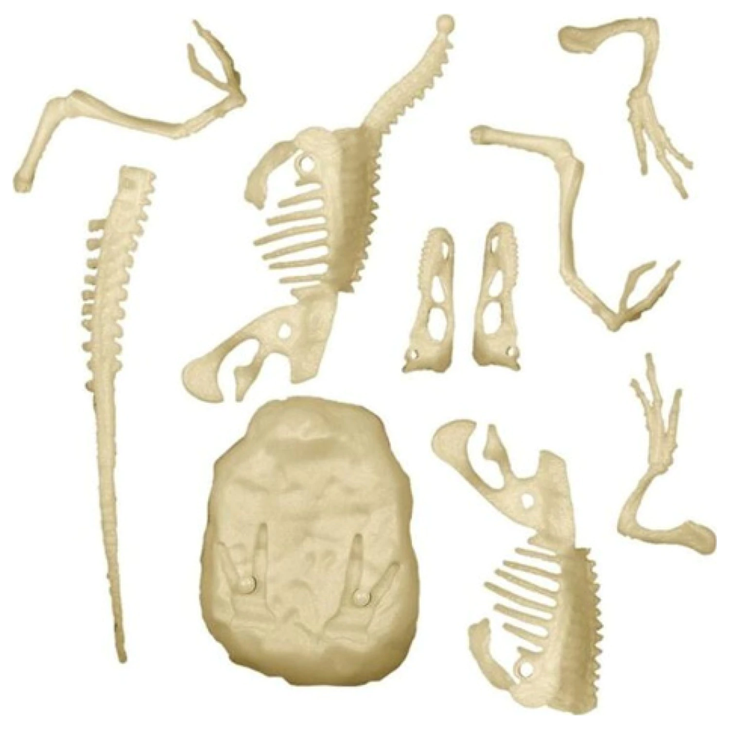 Light-Up Velociraptor Archeo Fun Archäologie Set Produktfoto