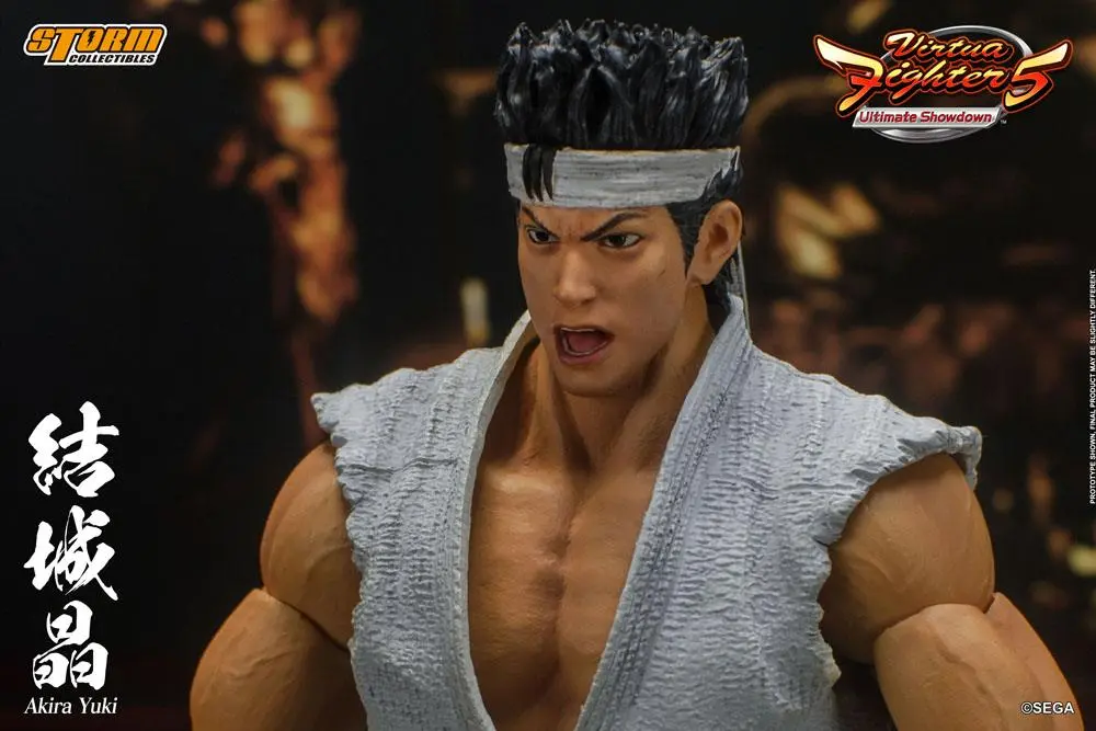 Virtua Fighter 5 Ultimate Showdown Actionfigur 1/12 Akira Yuki 18 cm Produktfoto