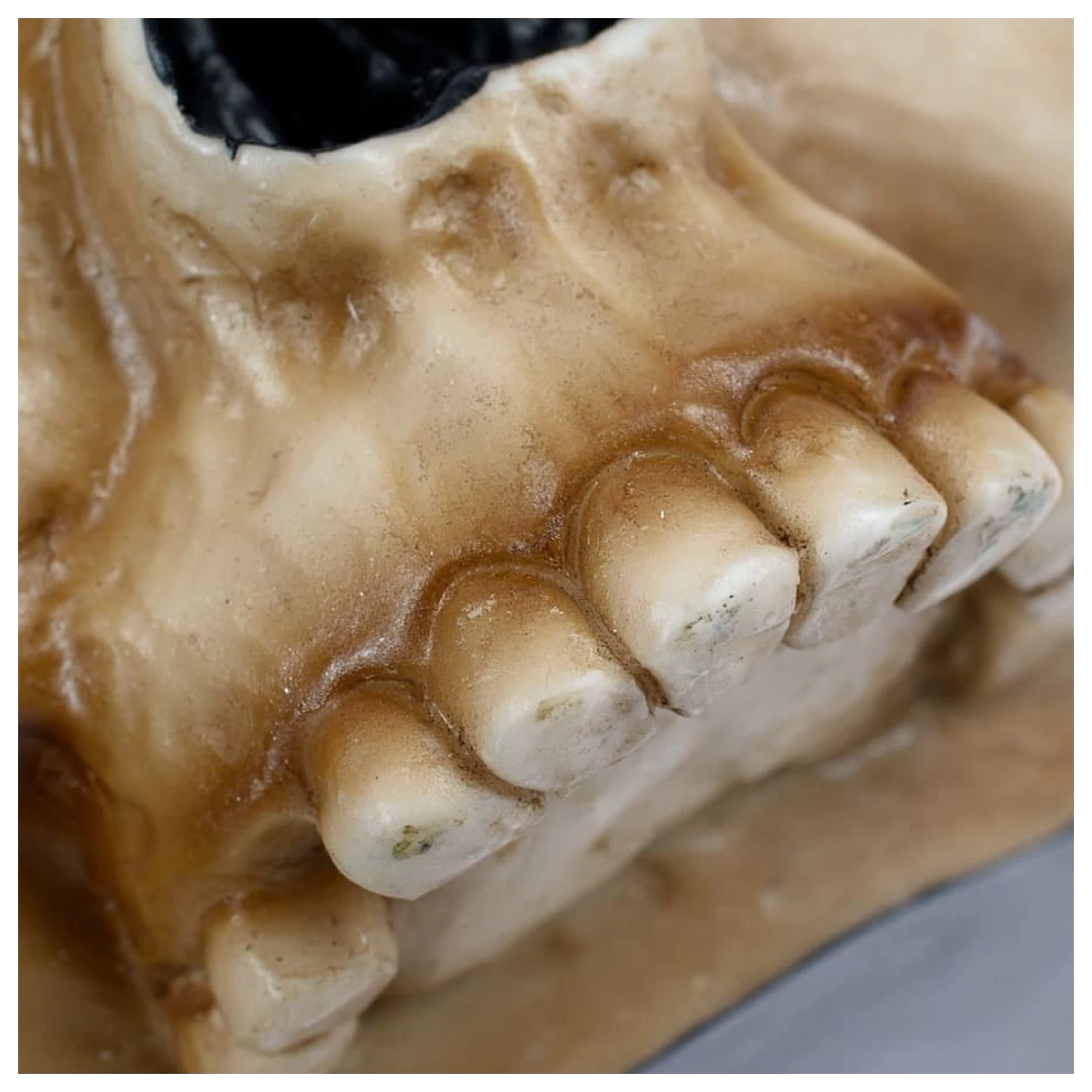 Warhammer 40,000 Tasse Servo Skull Produktfoto