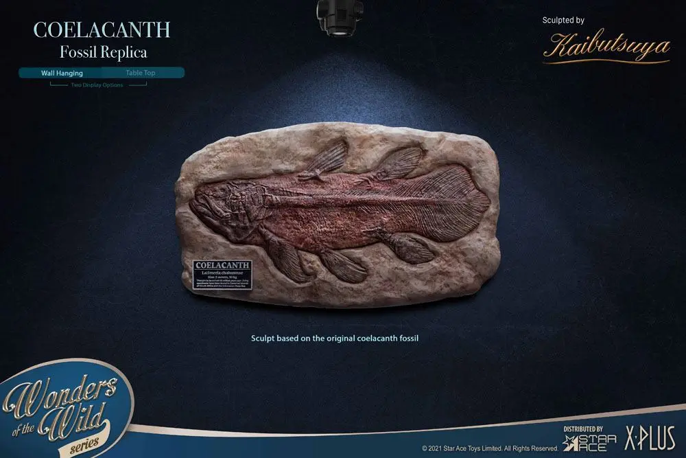 Wonders of the Wild Statue Coelacanth Deluxe Version 28 cm Produktfoto