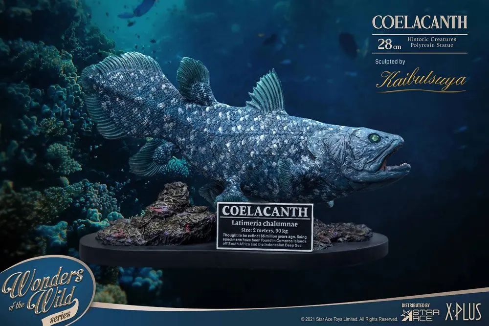 Wonders of the Wild Statue Coelacanth Deluxe Version 28 cm Produktfoto