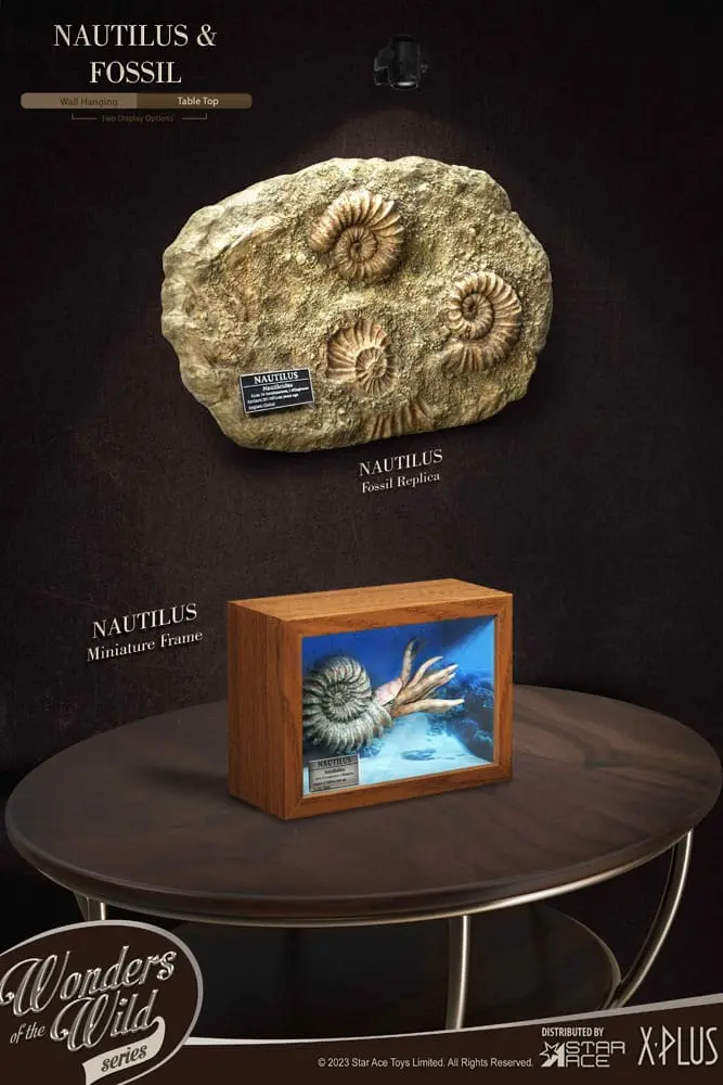 Wonders of the Wild Series Statue 1/1 Nautilus Miniature Frame &amp; Fossil 15 cm Produktfoto
