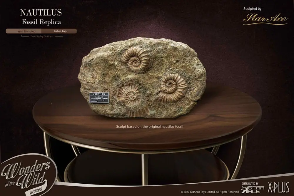 Wonders of the Wild Series Statue 1/1 Nautilus Miniature Frame &amp; Fossil 15 cm Produktfoto