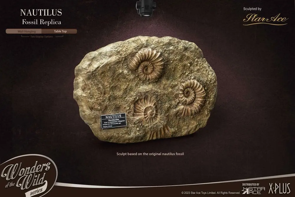Wonders of the Wild Series Statue 1/1 Nautilus Miniature Frame &amp; Fossil 15 cm Produktfoto