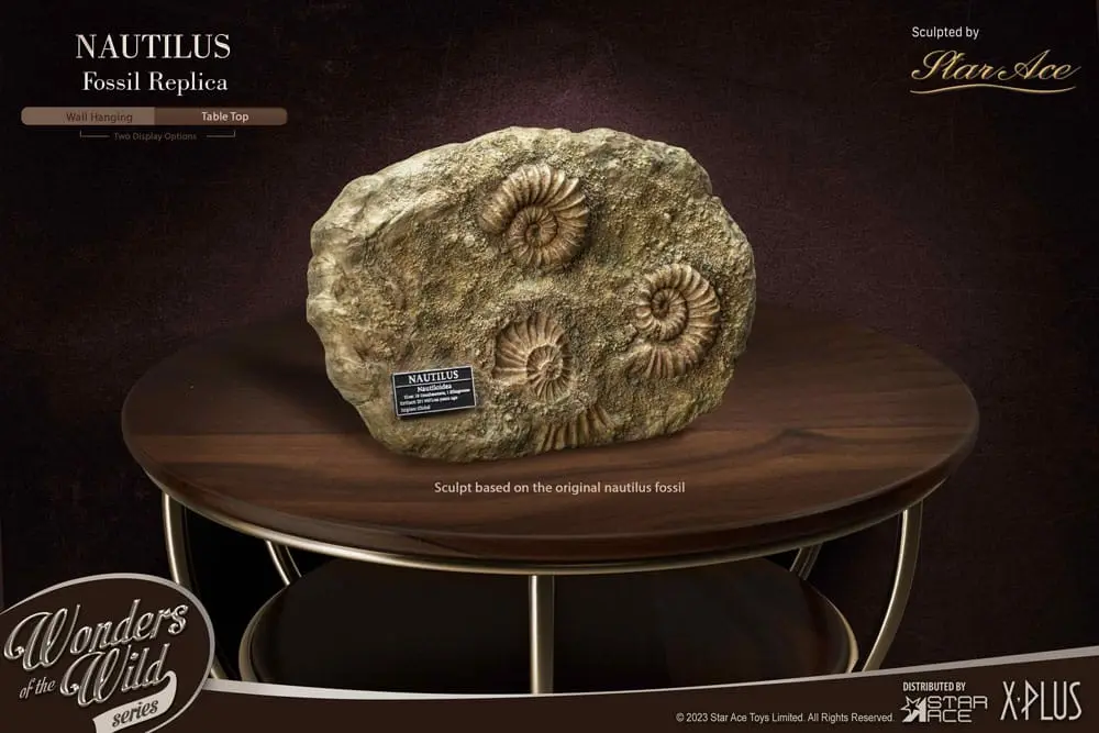 Wonders of the Wild Series Statue 1/1 Nautilus Miniature Frame &amp; Fossil 15 cm Produktfoto