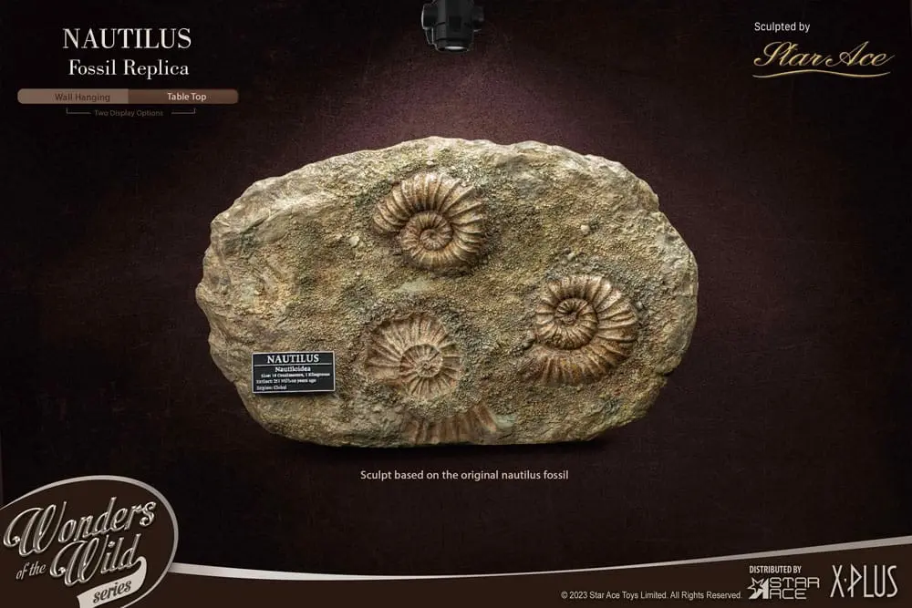 Wonders of the Wild Series Statue 1/1 Nautilus Miniature Frame &amp; Fossil 15 cm Produktfoto