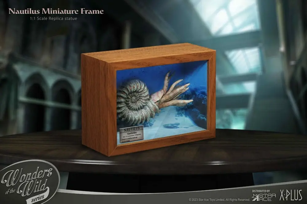 Wonders of the Wild Series Statue 1/1 Nautilus Miniature Frame 15 cm Produktfoto