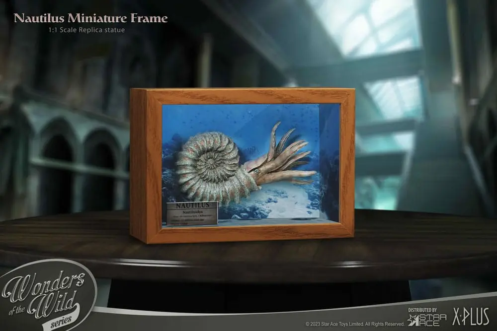 Wonders of the Wild Series Statue 1/1 Nautilus Miniature Frame 15 cm Produktfoto
